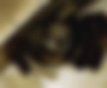 Sans titre (preview)