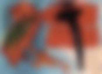 Sans titre (preview)