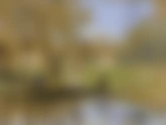 Paysage anime au bord de la Bievre (preview)