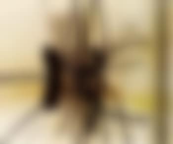 Composition abstraite (preview)