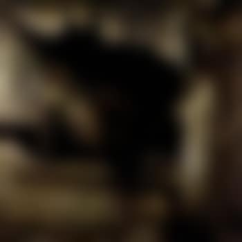 La ruche, Paris (preview)