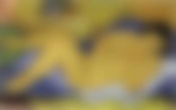 Nu couche (preview)