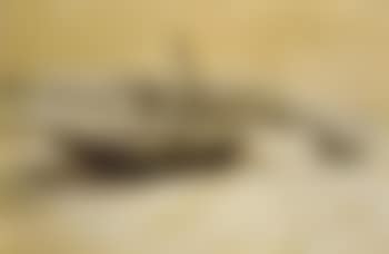 Barque in hiver (preview)