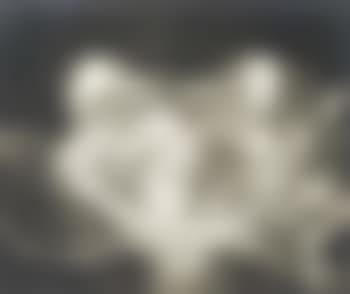 Rayograph (preview)