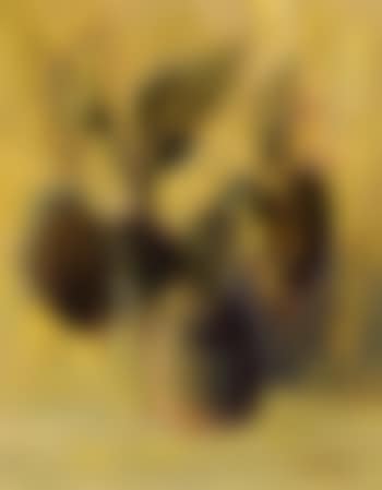 Sunflowers (preview)