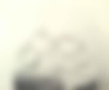 Still life of fruit and cloth (preview)