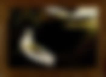 Clopha and Coco (preview)