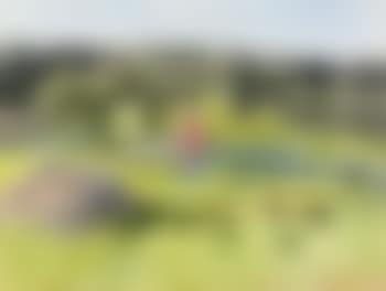 Girl in the Garden (preview)