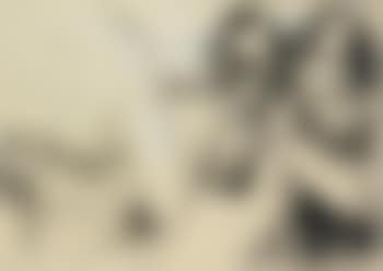 Some Eat Meat (preview)