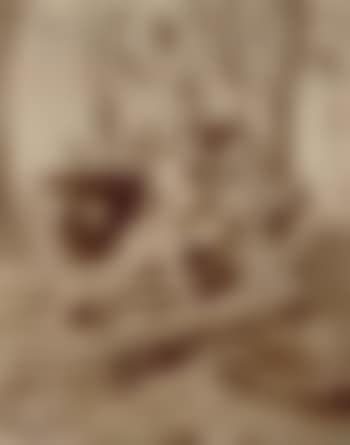 Versailles, Bosquet de l'Arc de Triomphe (preview)