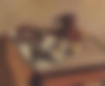 Fruits et pichet sur une table (preview)