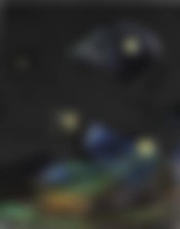 Nocturne (preview)
