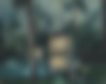 Paysage (preview)