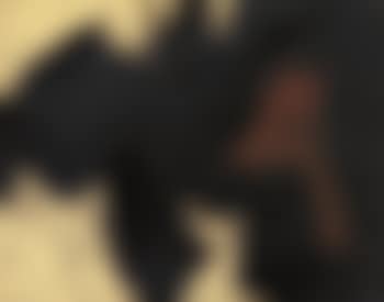 The Figure 4 on an Elegy (preview)