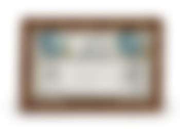 Untitled (Celestial Navigation by Birds variant) (preview)