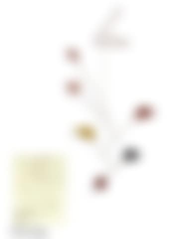 Untitled (preview)