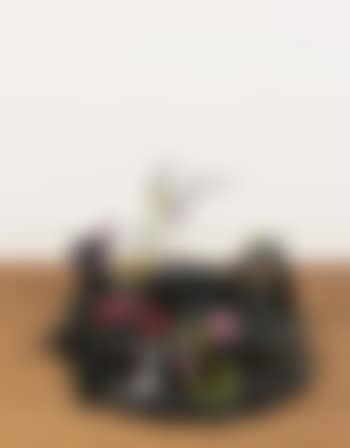 Moona Luna Prehistorica (preview)
