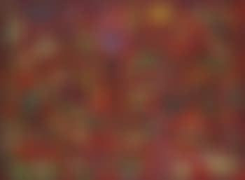 The Red Desert (preview)