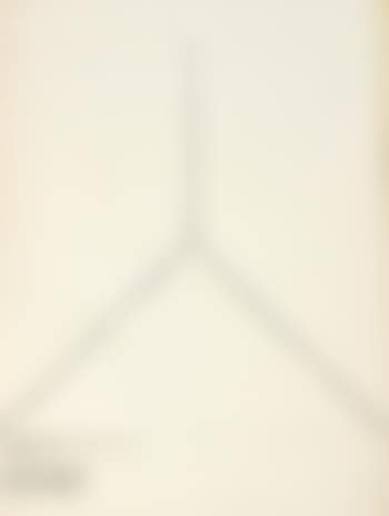 Wittgenstein Illustration (1st Reading--"Y" Branch) (preview)