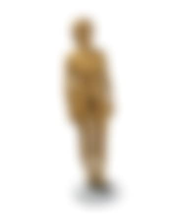 Self-Portrait (preview)