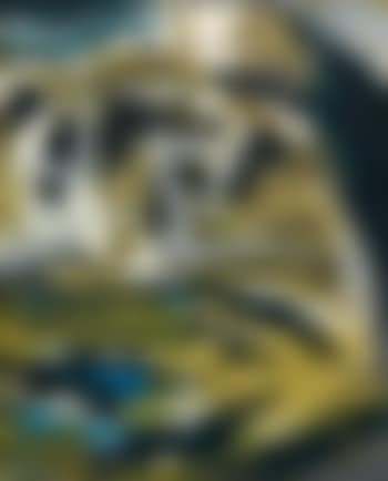 Untitled (preview)