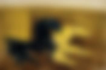 Untitled (Horses) (preview)