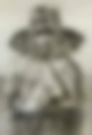Peasant woman (preview)