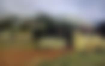 Paysage des Alpilles (preview)