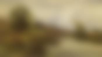 Untitled, landscape (preview)