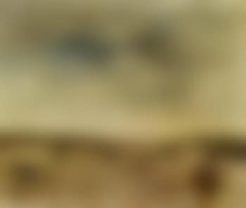 Horses in the fields (preview)