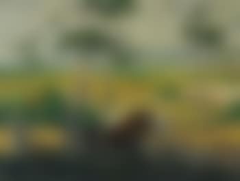 Plowing in the fields (preview)