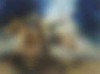 Portrait of the artist as an evolving landscape (preview)