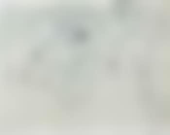 Female nudes (preview)