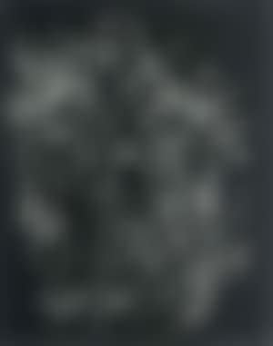 Eagle (preview)