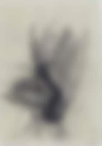 Untitled (preview)