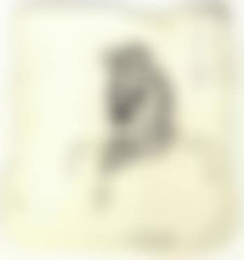 Untitled - man's head (preview)