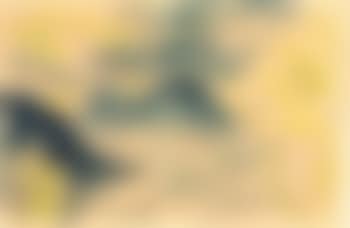 Lake Geneva (preview)