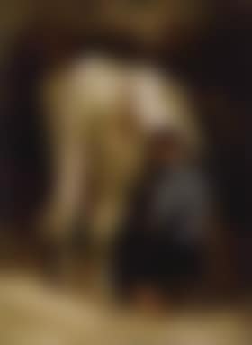 Cow being milked (preview)