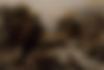 The haunt of the dipper (preview)