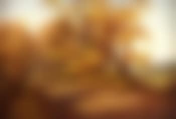 November sunshine, Antrim (preview)