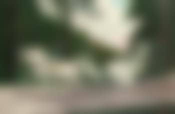 Lady with pink parasol in a carriage (preview)