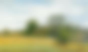 Summer landscape with farm (preview)
