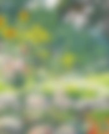 Gorgeous summer landscape (preview)