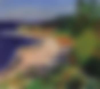 Summer shore from the west coast (preview)