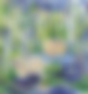 Le dejeuner sur l'herbe (preview)