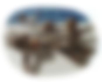 Flying angels (preview)
