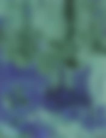 Composition (preview)