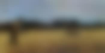 Evening at Samso (preview)