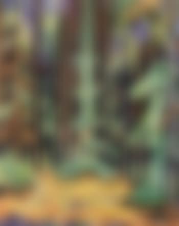 Spruce forest (preview)