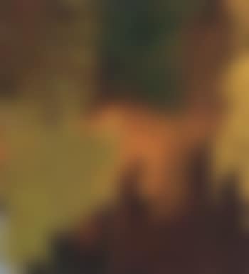 Composition (preview)